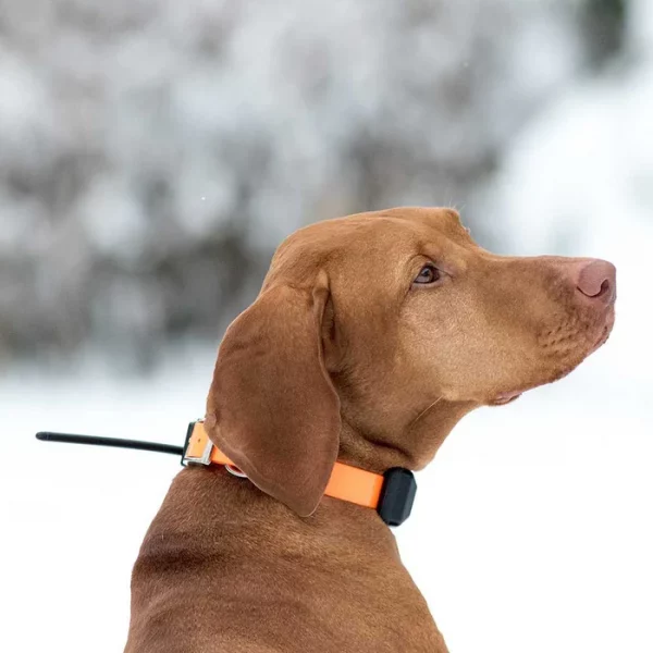 EQUIPO LOCALIZADOR DOGTRACE GPS X30 COLOR NARANJA - Imagen 4